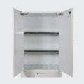 Steelspan - 250L - Toxic Storage Cabinet