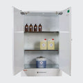 Steelspan - 250L - Toxic Storage Cabinet