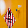 Steelspan - 250L - Flammable Solids Storage Cabinet-Single Door